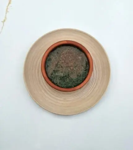 Molokhia Soup